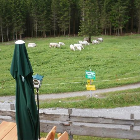 Hotel Gasthof Untere Valentinalm Plöcken Exteriér fotografie