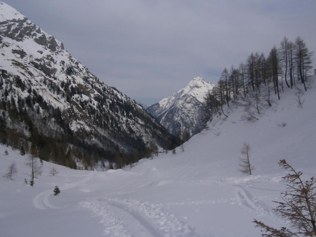 Hotel Gasthof Untere Valentinalm Plöcken Exteriér fotografie