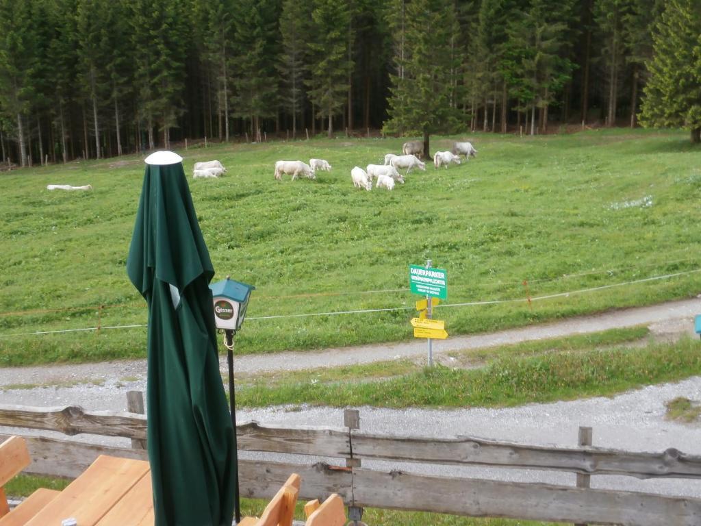 Hotel Gasthof Untere Valentinalm Plöcken Exteriér fotografie